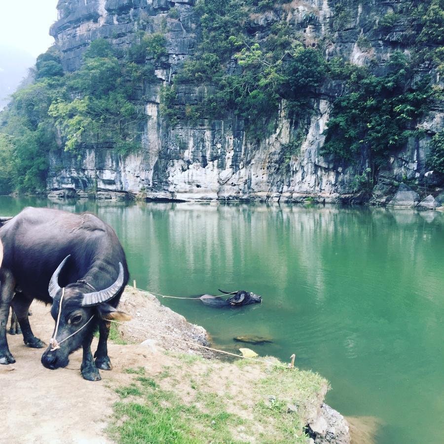 Mai'S Homestay Trang An Ninh Binh Zewnętrze zdjęcie