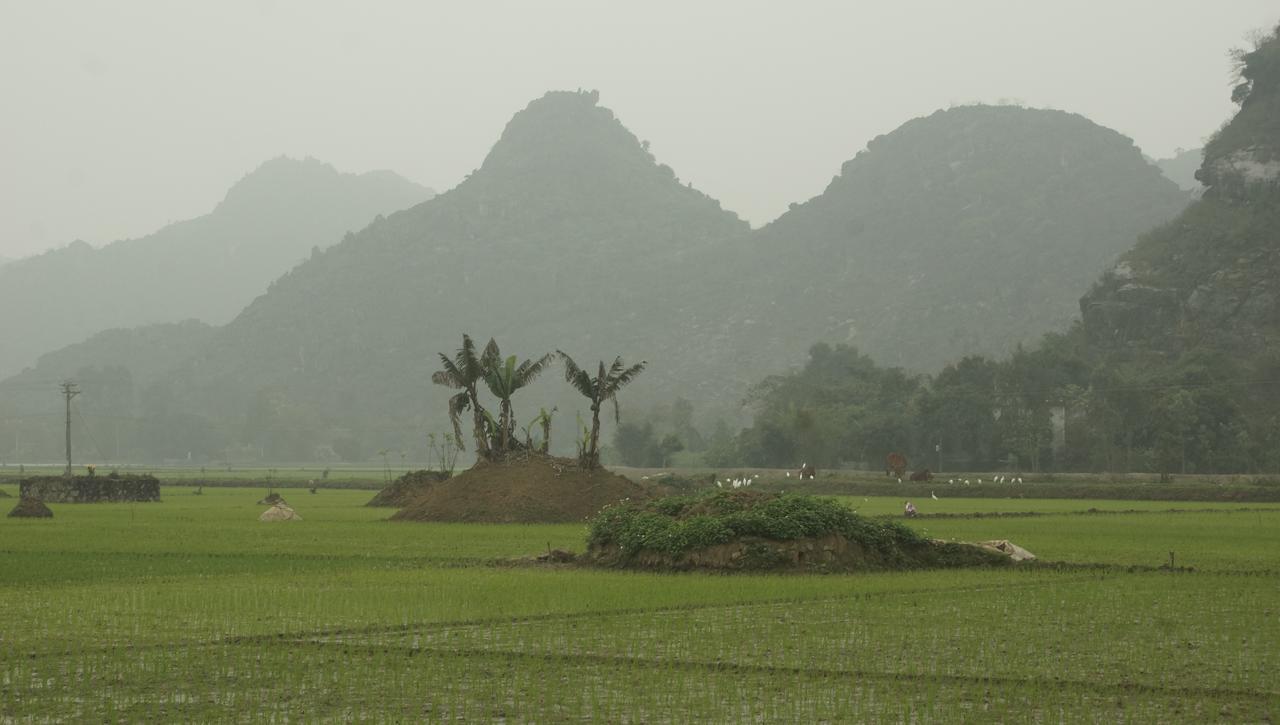 Mai'S Homestay Trang An Ninh Binh Zewnętrze zdjęcie