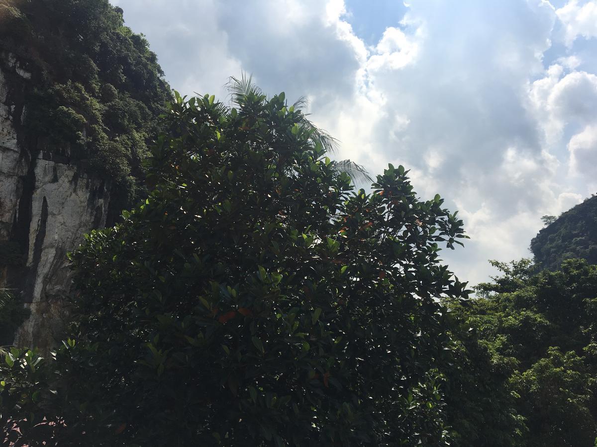 Mai'S Homestay Trang An Ninh Binh Zewnętrze zdjęcie
