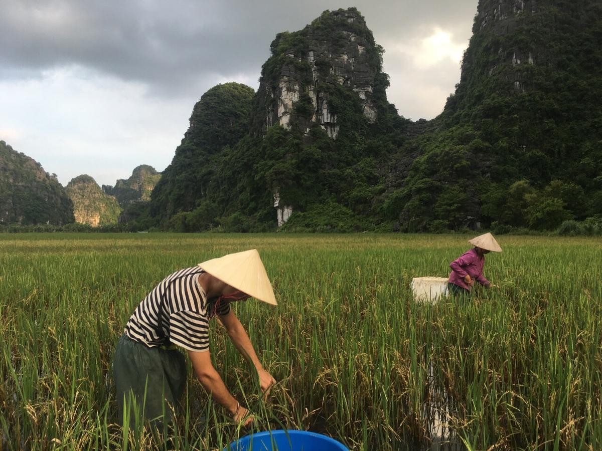 Mai'S Homestay Trang An Ninh Binh Zewnętrze zdjęcie