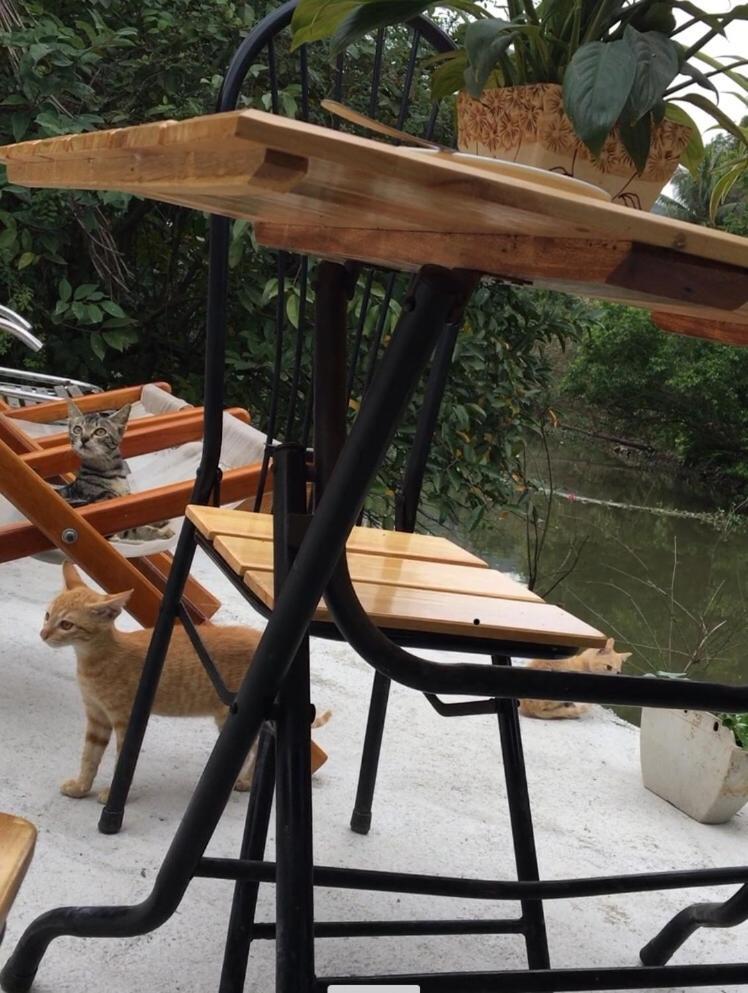 Mai'S Homestay Trang An Ninh Binh Zewnętrze zdjęcie